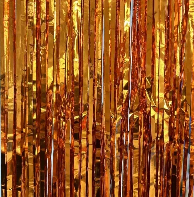 Foil Fringe Curtains Birthday  – обзор и цена Photography Website