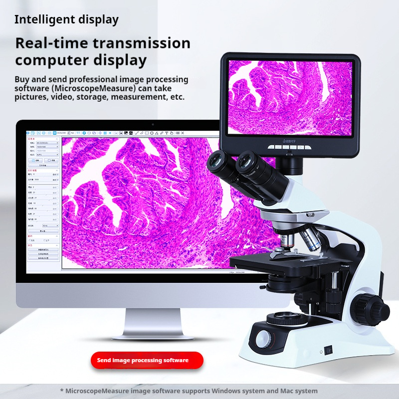 Research Grade Biological Micr – обзор и цена Photography University