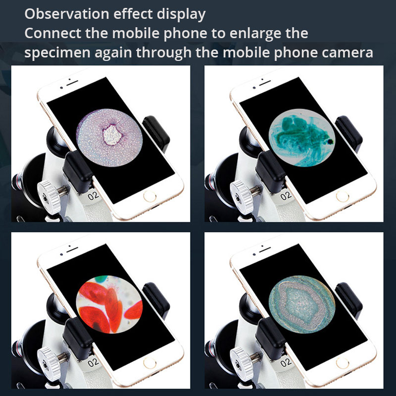 Optical Professional Biologica – обзор и цена Photography University
